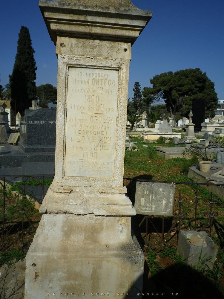 CIMETIERE DE TAMAZOUHET D ORAN EN MARS 2012  (136).JPG